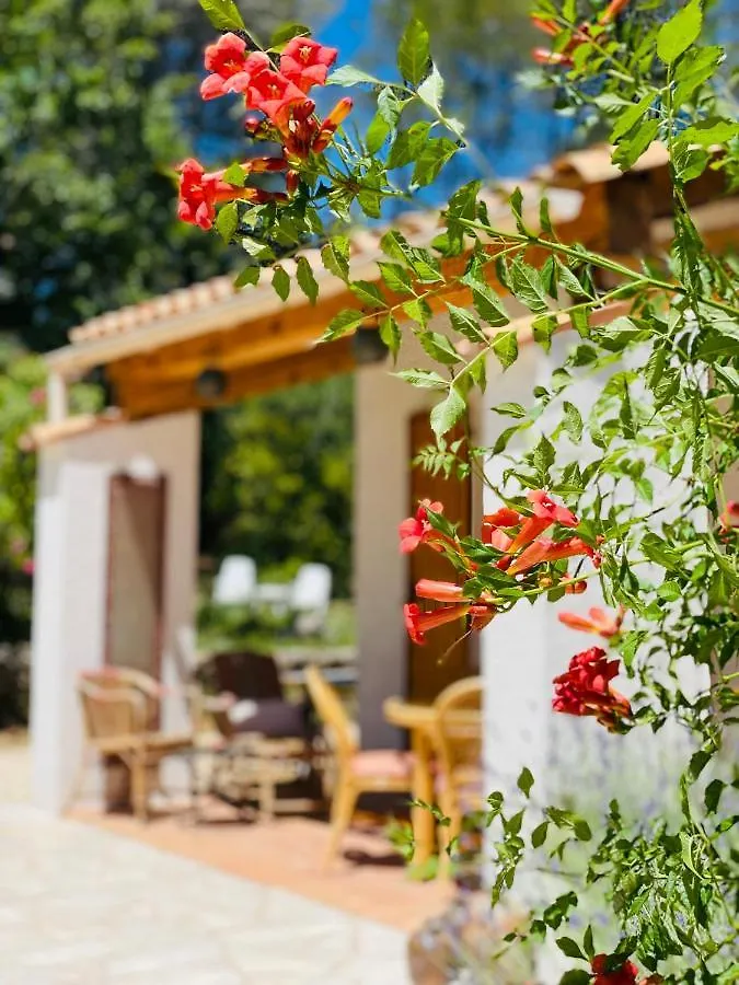 L'Escale Chambres D'Hotes Et Gite Draguignan Bed & Breakfast