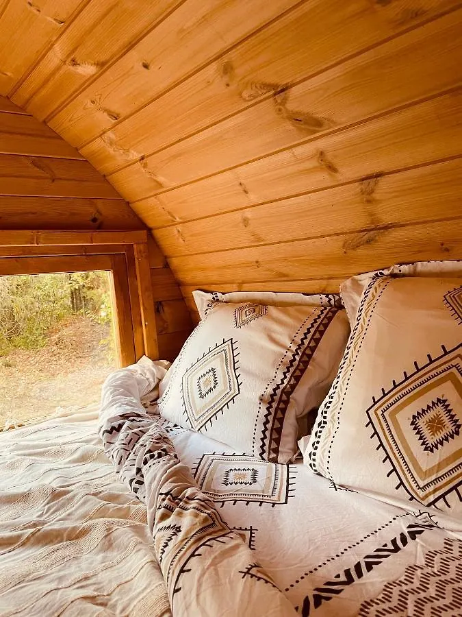 Bed & Breakfast L'Escale Chambres D'Hotes Et Gite Draguignan