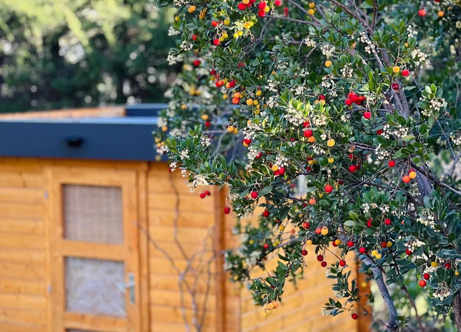 Bed & Breakfast L'Escale Chambres D'Hotes Et Gite Draguignan France